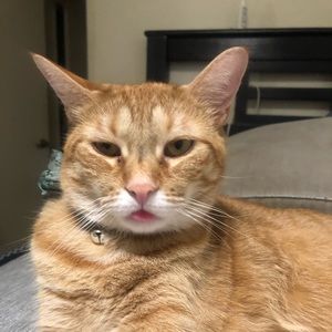 Meet your Posher, Imelda